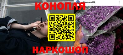 a pvp Апшеронск