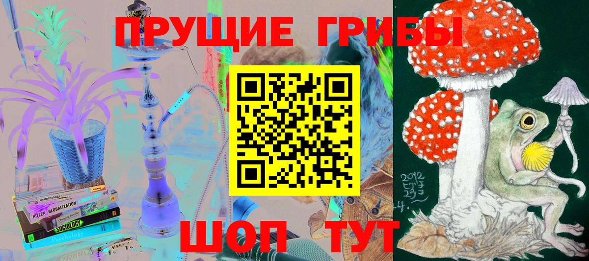 закладка  Галлюциногенные грибы мицелий  Галлюциногенные грибы прущие грибы  Вход с VPN  Волгоград 