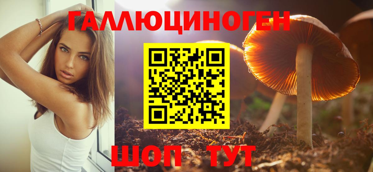 Псилоцибиновые грибы Cubensis Волгоград
